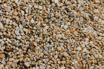 Natural gravel texture featuring a variety of smooth and rough stones in earthy colors. This image captures the essence of a gravel surface, perfect for landscaping projects. ###