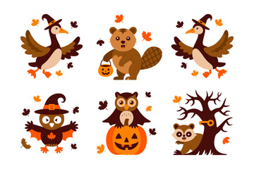 Fototapeta premium Cute forest elements, squirrel and owl, beaver and birch tree, pumpkins and acorns, maple leaves scatter, halloween clipart set, vector illustration, seamless pattern ideas, white background