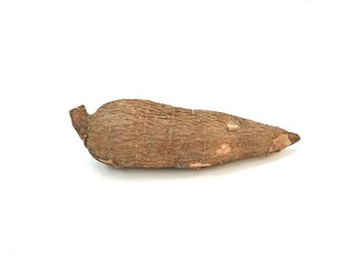 Fresh cassava isolated on white background 