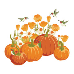 vector drawing pumpkins, flowers and birds, Thanksgiving day decoration, autumn vegetable composition with escholzia, daisies and flying hummingbirds , hand drawn illustration