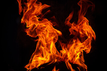 Fototapeta premium Texture of fire on a black background. Abstract fire flame background, large burning fire.
