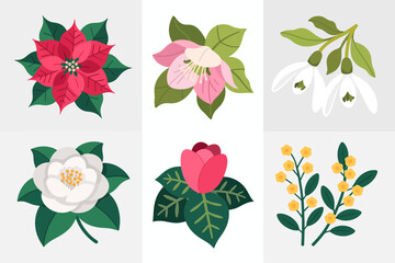 Poinsettia and floral elements illustration, winter holiday flowers and leaves, decorative botanical vector design