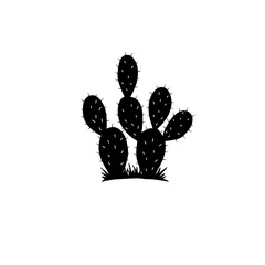 Cactus silhouette