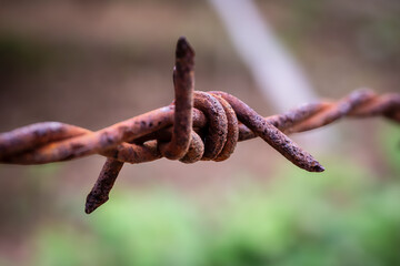 Close-up of rusty barbed wire with sharp metal points and textured corrosion. Ideal for abstract, industrial, or conceptual design themes.
