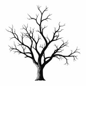 Fototapeta premium Monochrome graphic illustration of a solitary leafless tree silhouette. The stark, sprawling branches create a 
