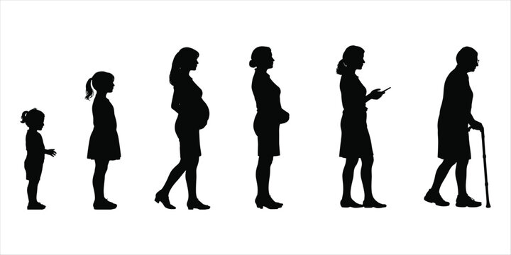 Female life stages silhouette from childhood to old age on white background Keywords: silhouette