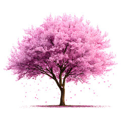 Obraz premium Beautiful cherry blossom tree in full bloom against a black background