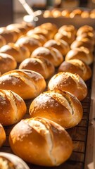Rows of freshly baked loaves of bread sit on a wooden surface, bathed in warm sunlight.