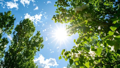 Sunlight filtering through lush green trees and fluffy white seed pods against a bright blue sky with scattered clouds