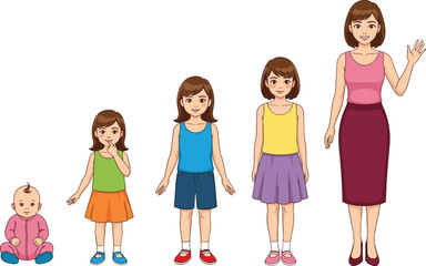 Female growth stages from baby to adult woman, cartoon illustration showing life cycle development, childhood to adulthood character design, education concept.