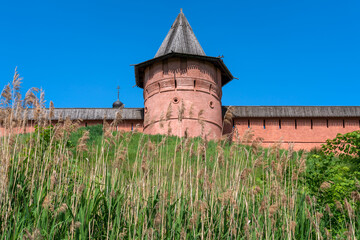 The tower of the Spaso-Evfimiev Monastery from the bank of the Kamenka River on a sunny summer day,...
