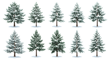 Snow Covered Evergreen Trees Winter Nature Illustration Group of evergreen trees covered in snow symbolizing winter and Christmas