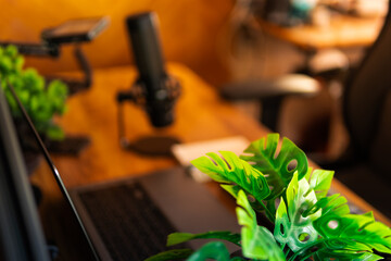 Modern desk setup background featuring computer, plants, and cozy warm lighting. Perfect for creative workspace, home office, desktour inspiration, and technology-themed projects.