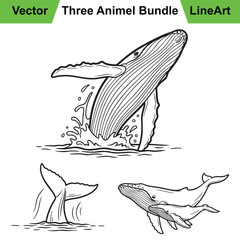 Assortment of Humpback Whale Poses as a Clean Line Art Set