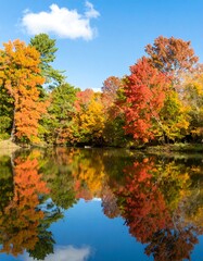 Autumn colors reflected in a calm lake