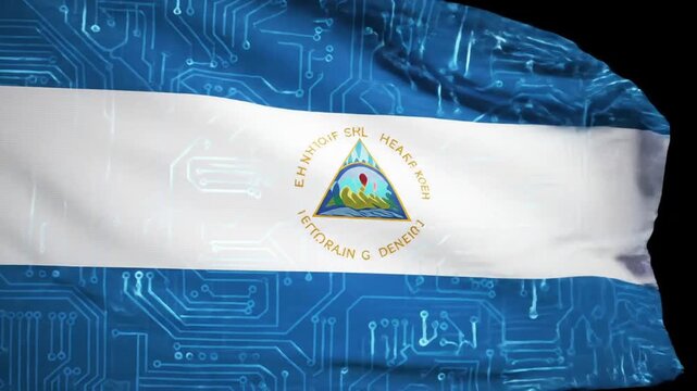 A digitally altered national flag, featuring a horizontal bicolor design of blue and white, with a central emblem.  The flag is overlaid with a translucent circuit board pattern