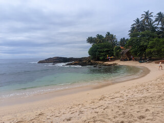 tropical beach with palm trees