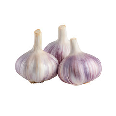Obraz premium Three heads of fresh garlic bulbs isolated on a stark black background