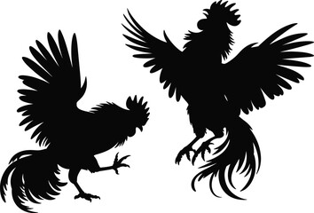 Silhouette of aggressive roosters in dramatic cockfight pose, wings spread, claws extended, intense motion, black vector, animal confrontation, isolated