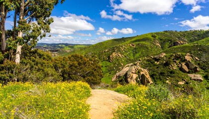 A scenic vista of rolling hills, lush greenery, and vibrant yellow wildflowers, showcasing a picturesque landscape under a partly cloudy sky.