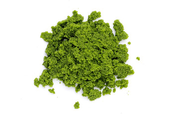 Obraz premium Fresh water alga, water meal or swamp algae