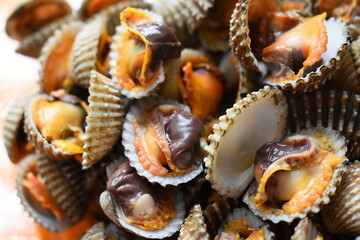ripe fresh cockle on plate, delicious food in restaurant