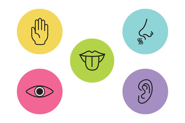 Five human senses editable stroke outline icons set isolated on white background flat vector illustration. Pixel perfect. Simple line icons and color circles, vector illustration. Best Designs. EPS 10