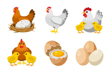 Egg collection vector illustrations, whole eggs cracked shells yolk and whites, nest arrangements, organic farm food graphics