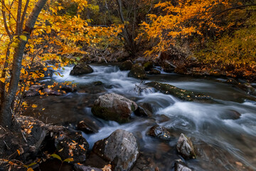 Running water of Big Cottonwood creek in Utah during autumn time.