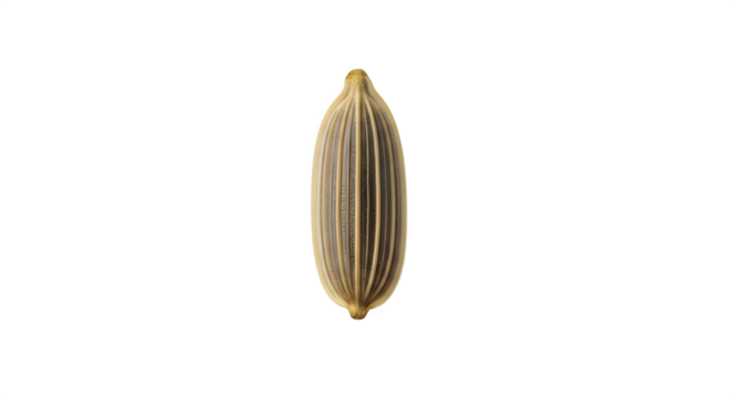 Closeup of a single fennel seed, isolated on transparent background, showcasing its texture, color, and shape for culinary and botanical purposes