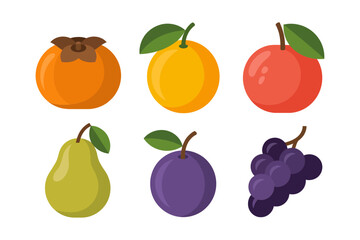 Obraz premium Fruit collection vector illustrations, persimmon pear plum grape apple icons, seasonal harvest produce set, wholesome market food graphics