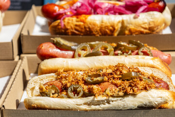 Gourmet hot dogs with jalapenos and crispy onions.