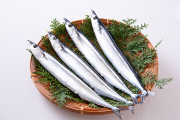 新鮮な秋刀魚