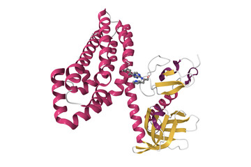 Proto-oncogene Vav1 inhibited by an allosteric inhibitor. 3D cartoon model, pdb 6nfa, secondary structure color scheme