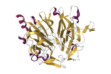 Crystal structure of human RCC2, a highly conserved protein involved in prognosis in colorectal cancer. 3D cartoon model, pdb 5gwn, secondary structure color scheme