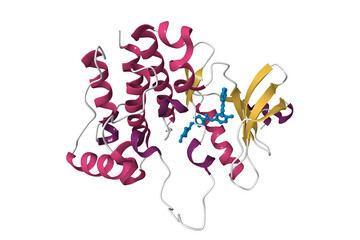 Proto-oncogene tyrosine-protein kinase LCK bound to anticancer drug imatinib. 3D cartoon model, pdb 2pl0, secondary structure color scheme