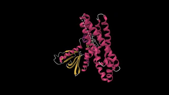 Proto-oncogene Vav1 inhibited by an allosteric inhibitor. Animated 3D cartoon model, pdb 6nfa, secondary structure color scheme, black background.