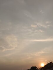 Golden Hour Sunset Over Cloudy Sky and Tree Silhouettes. 
