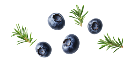 Juniper Berry with half slices falling or floating png 