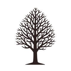 Obraz premium Graphic Silhouette of a Bare Tree Without Leaves on White Background, Minimalist Vector Illustration