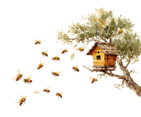 Bees swarming around a wooden hive in nature watercolor style isolated on transparent background