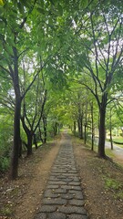 alley in the park