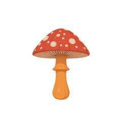 Flat colored mushroom illustration with transparent background 