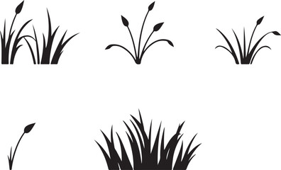 Naklejka premium Grass Plants Silhouette