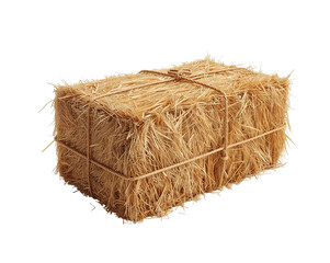 Detailed depiction of a neatly tied hay bale displaying natural and textured straw surface