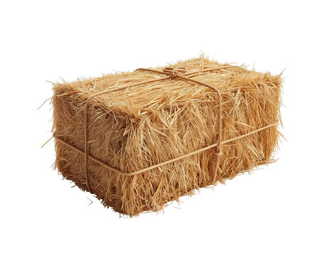 Detailed depiction of a neatly tied hay bale displaying natural and textured straw surface - Powered by Adobe