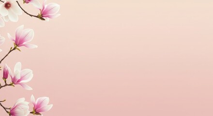 Naklejka premium Magnolia background, elegant magnolia blooms on soft gradient 