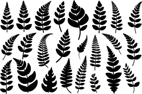 Collection of fern silhouettes, assorted leaf shapes and fronds, vector botanical icons, seasonal foliage set, craft and print friendly