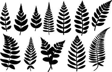 Large fern silhouette collection, bold botanical fronds, ornamental leaf vectors, varied foliage shapes for print textile wallpaper pattern design assets © BlackVault Designs