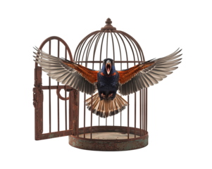 Symbolic liberation, A vibrant bird escapes its rusted cage, representing freedom and renewal